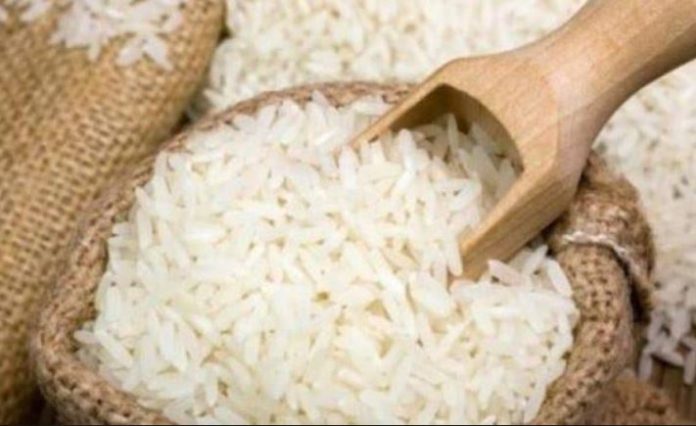 Solo 47.000 hectáreas fueron cultivadas con arroz durante el ciclo invierno ( abril octubre) 2019 en Venezuela. | Foto El Nacional.