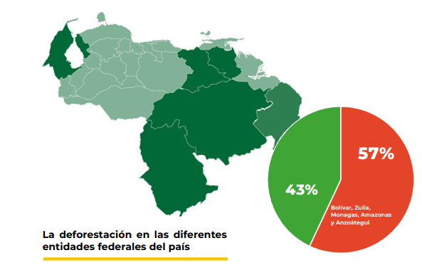 La devastación forestal más grande se encuentra en el estado Bolívar. Gráfico: Clima21