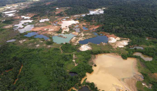 La deforestación en Venezuela ha sido un problema histórico que tuvo como consecuencia una importante disminución de la superficie de bosques en el país. Foto: Informe Clima21