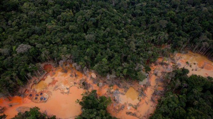 deforestación mercurio indígenas