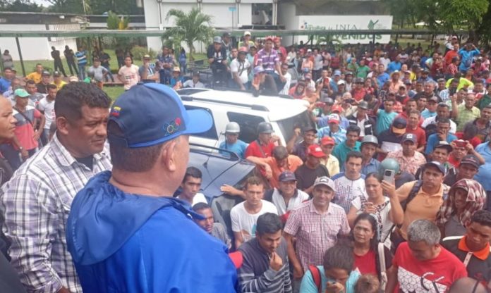 Caficultores presionan al Gobierno para que se respeten precios acordados en la Gaceta Oficial N° 42.72 | Foto Franklin Piña