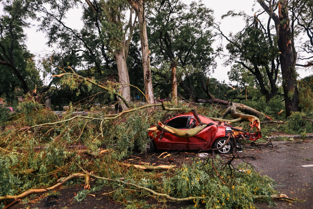 Vehículo afectado por un árbol caído debido al temporal en Buenos Aires.| Foto: EFE